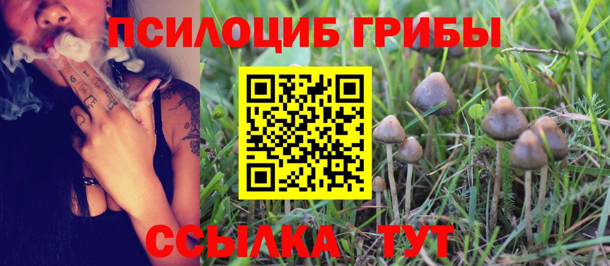 Галлюциногенные грибы прущие грибы Бийск