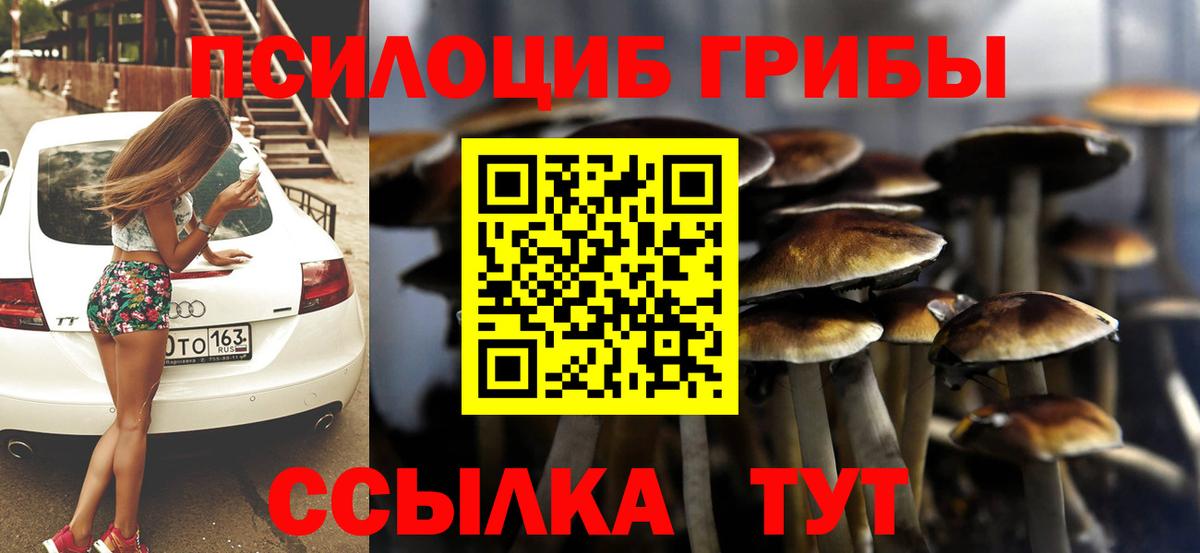 Бийск  Галлюциногенные грибы мухоморы  Вход с VPN 